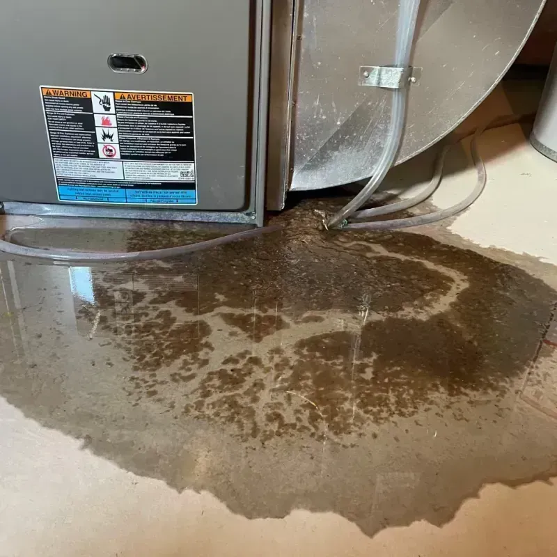 Appliance Leak Cleanup in Morton Grove, IL